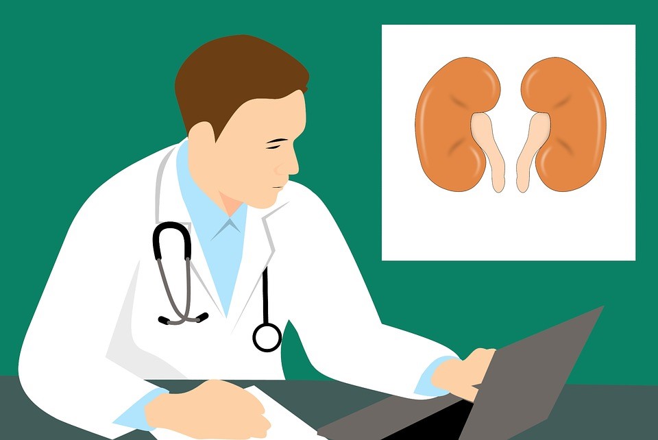 Ten questions about Chronic Kidney Disease