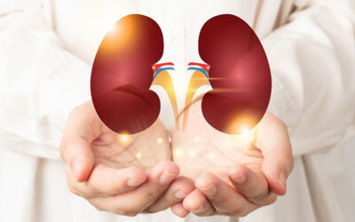What can I do to keep my kidneys healthy?
