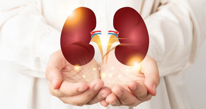 Healthy kidneys