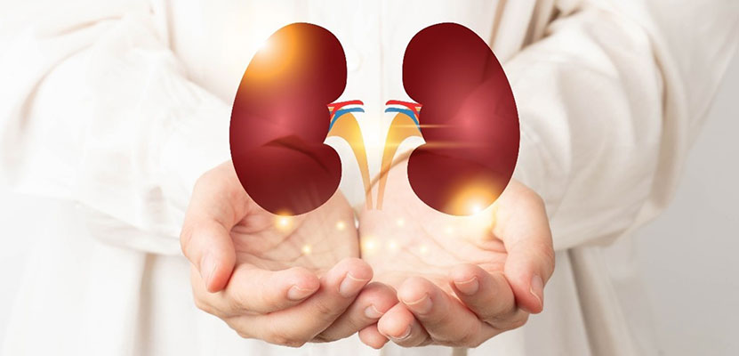 what-can-i-do-to-keep-my-kidneys-healthy-clinical-renal-associates