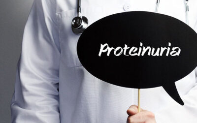 Unraveling the Enigma of Proteinuria: A Deep Dive into Its Connection with Kidney Disease